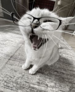 Shinju